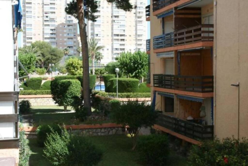 Las Lanzas Studio Apartment Playa Muchavista El Campello Exterior photo
